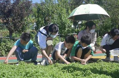 让中医药服务"触手可及",水库村打造家门口的中草药科普园和科普馆