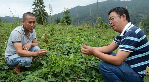 跟着水利扶贫干部去扶贫 贵州篇